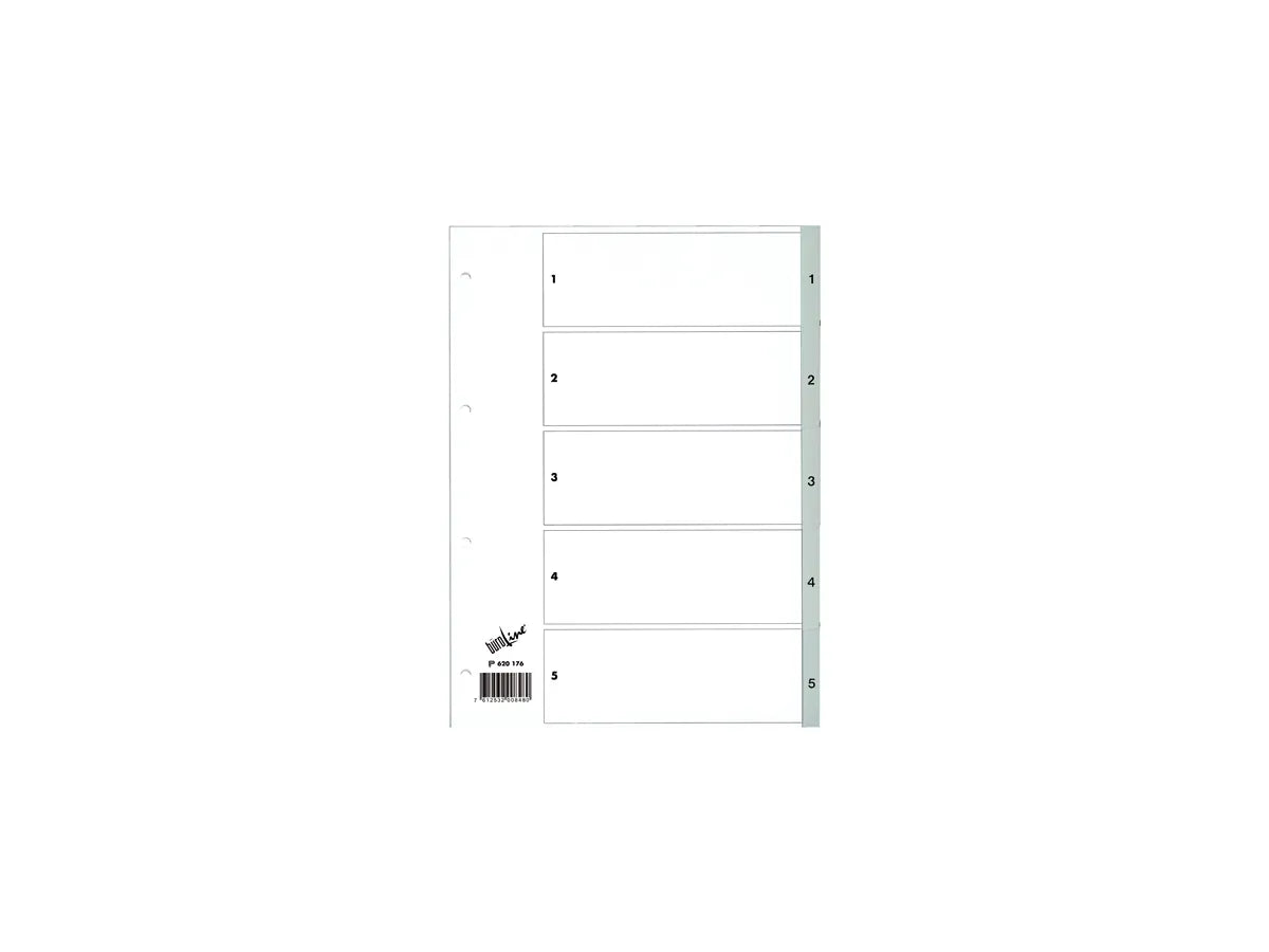 BÜROLINE Répertoires PP gris A4 620176 1-5