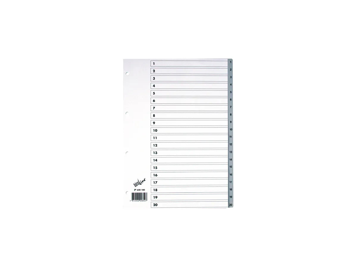 BÜROLINE Répertoires PP gris A4 620180 1-20