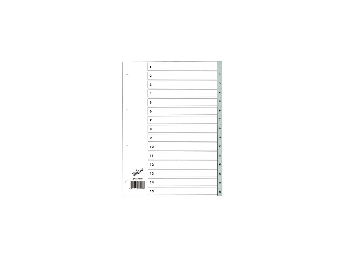 BÜROLINE Répertoires PP gris A4 667282 1-15