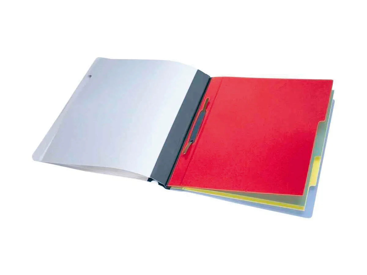 DURABLE Dossier d'organis. Divisioflex p. 100 flls. A4, 5 pcs.